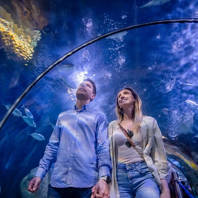 Oceanogràfic - Entradas Oceanogràfic, Museo Ciencias y Hemisfèric