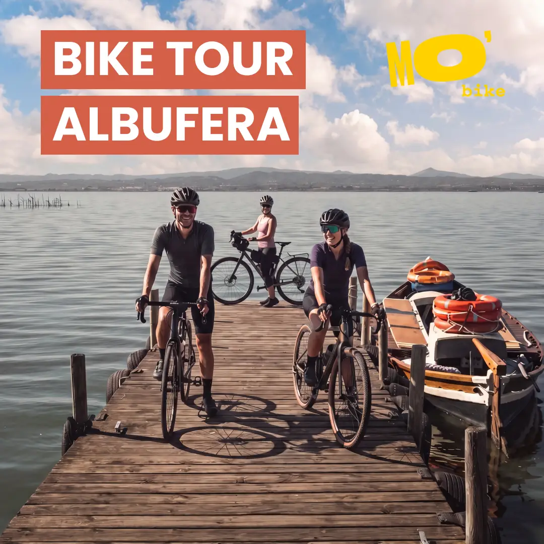 Tour en bicicleta por la Albufera de Valencia (en inglés)
