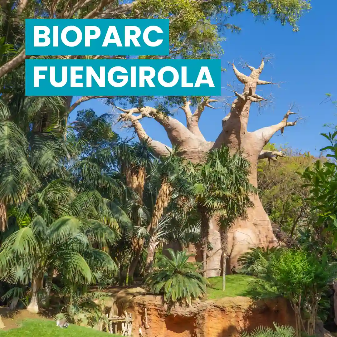 Entradas Bioparc Fuengirola