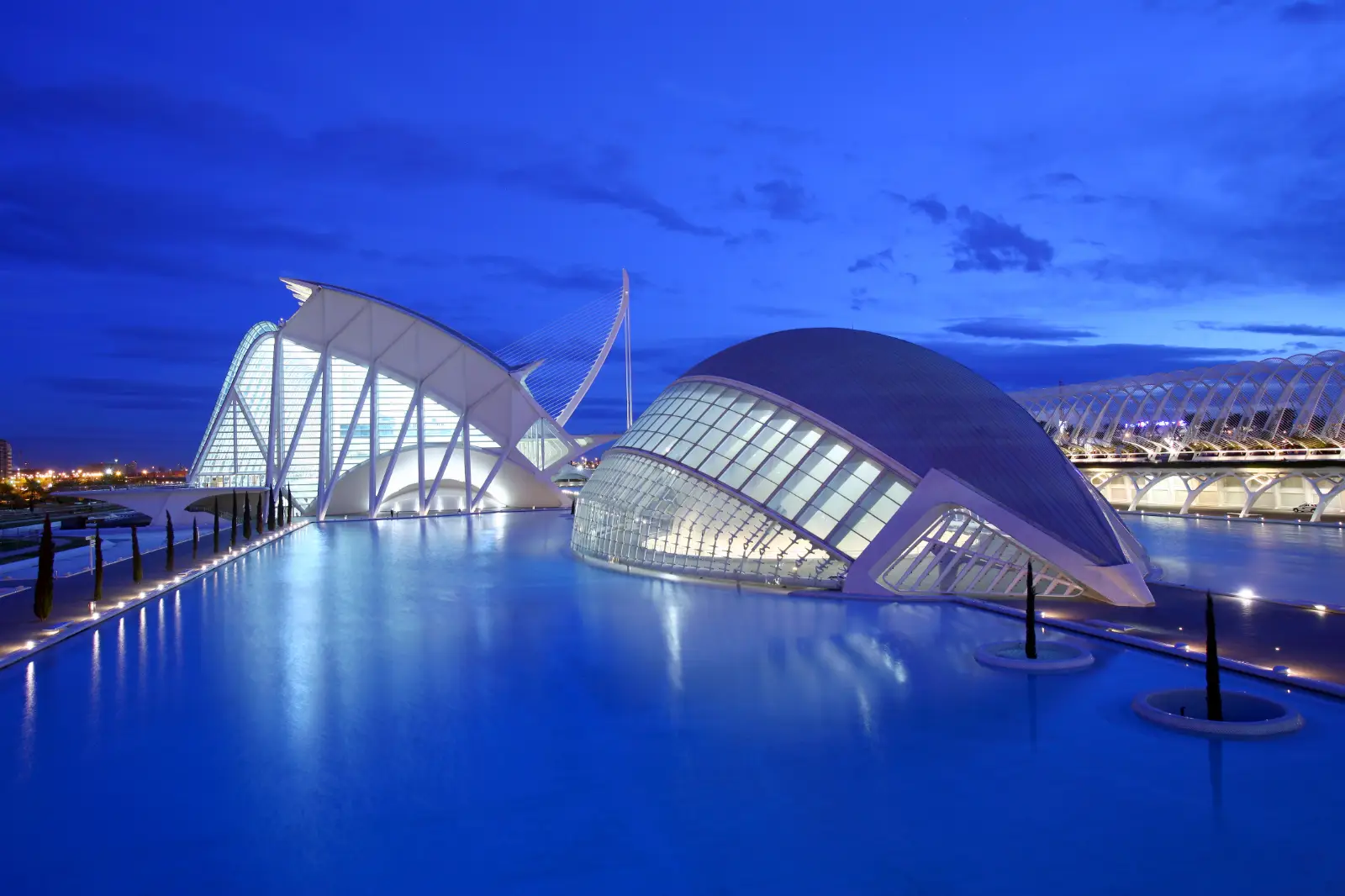 Pack Entradas: Museo Ciencias y Oceanogràfic