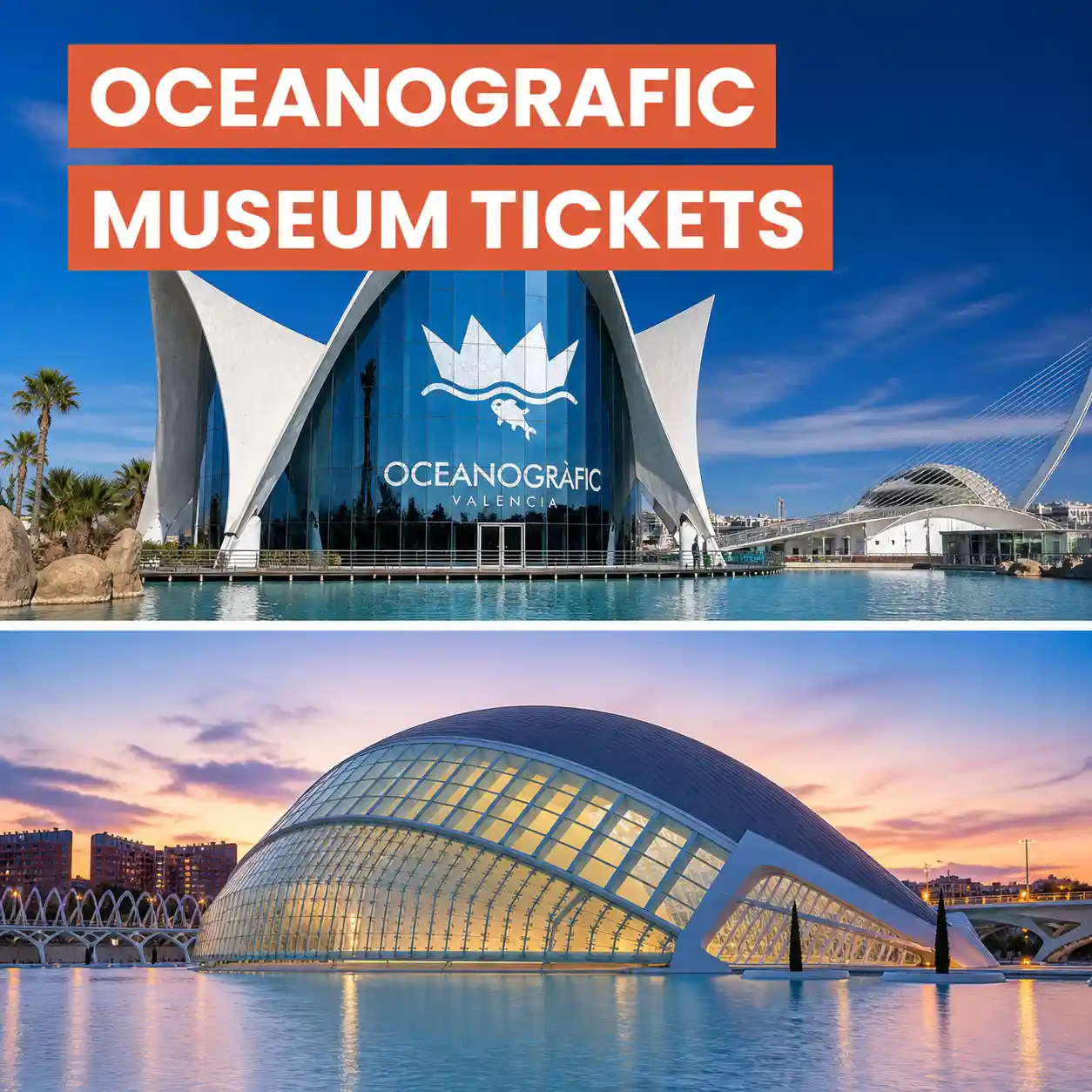 Pack Entradas: Museo Ciencias y Oceanogràfic
