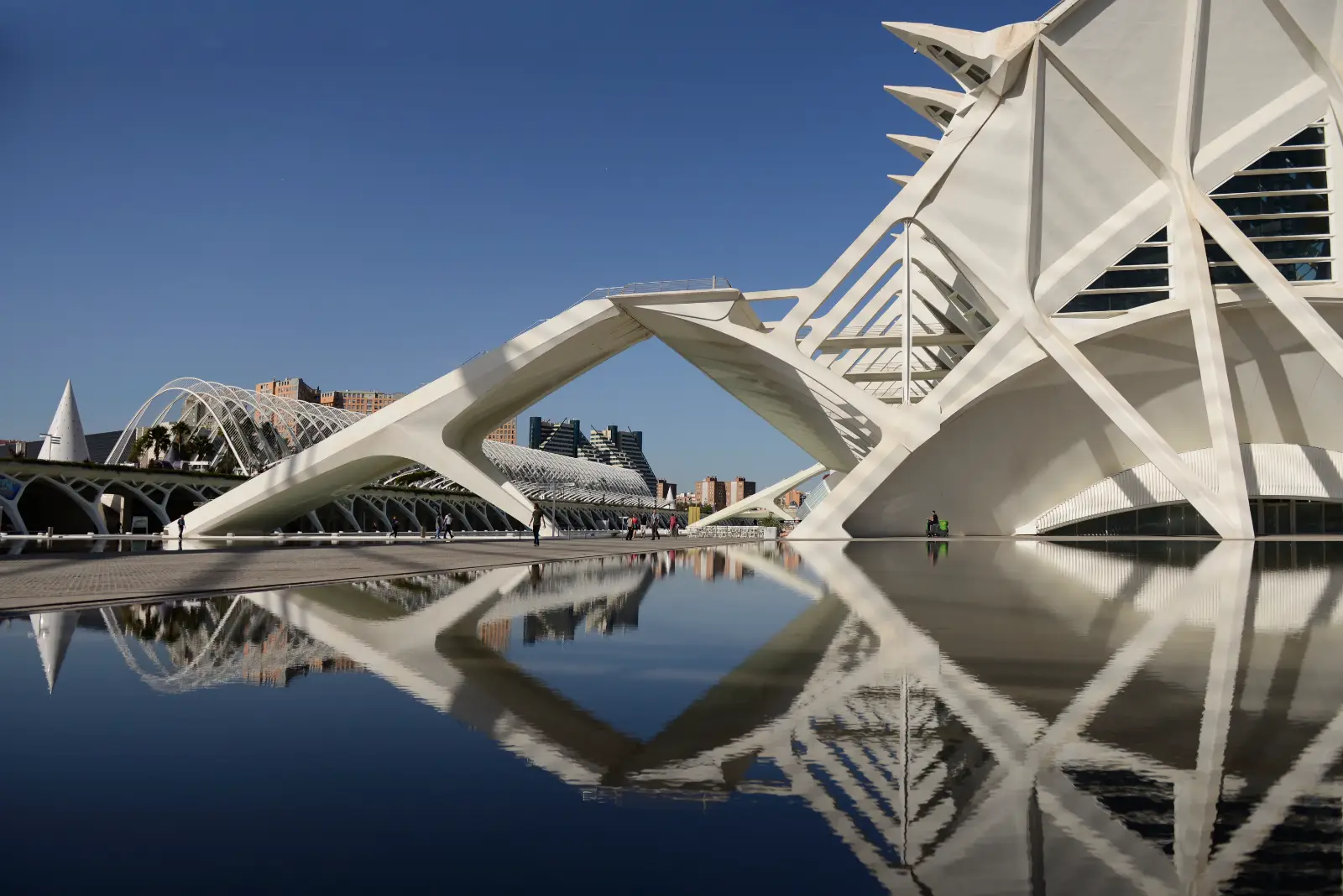 Pack Entradas: Hemisfèric, Museo Ciencias y Oceanogràfic