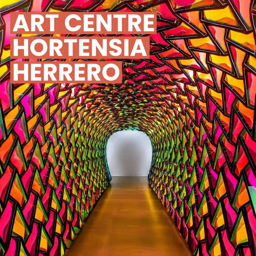 Centro de Arte Hortensia Herrero - Entrada general